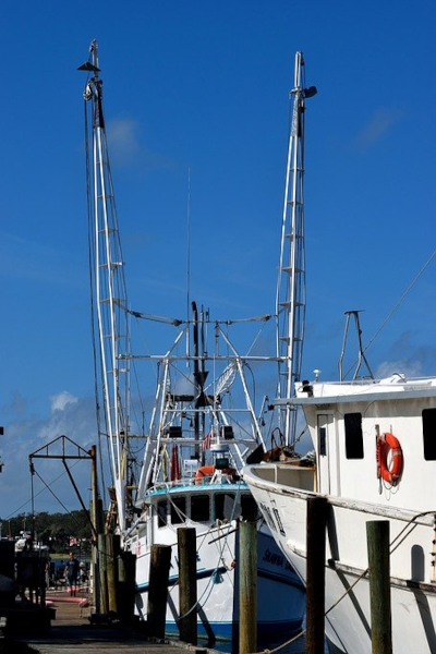 hiring a fishing charter in tampa