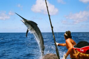 Inshore Fishing vs Deep Sea Fishing