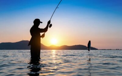 Inshore Fishing vs Deep Sea Fishing in Tampa