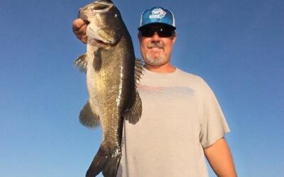 All About Tampa Bass Fishing Charters