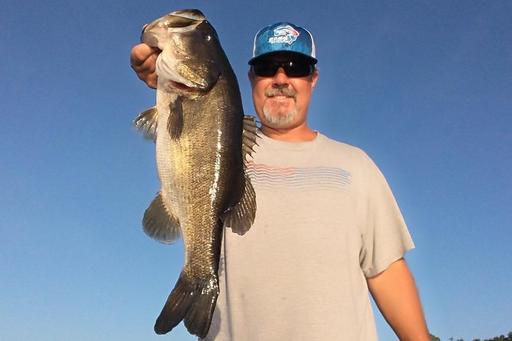 All About Tampa Bass Fishing Charters