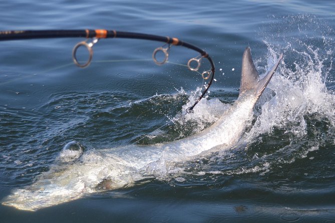 Why Go Tampa Fishing with an Experienced Guide