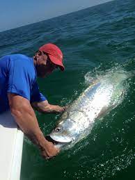 Tampa Fishing Season for Inshore Fish