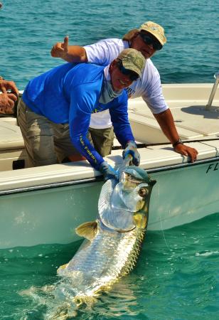 Tampa Fishing Season for Inshore Fish