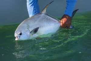 Deep Sea Fishing in Tampa