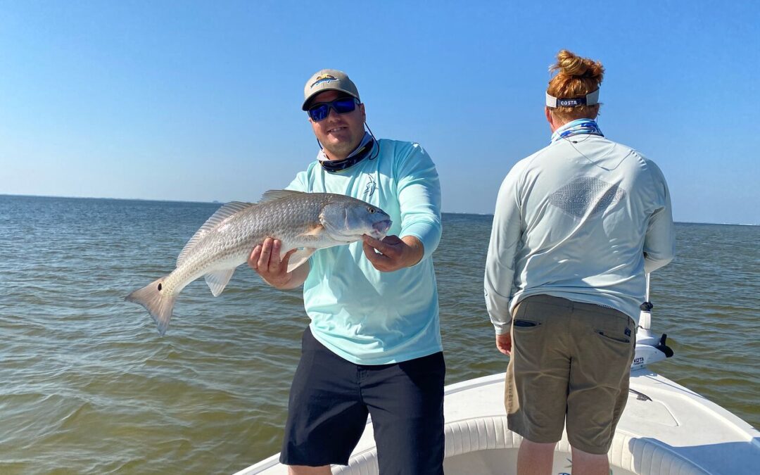 Fish to Catch on an Inshore Fishing Charter in Tampa