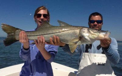 Everything You Need to Know About Tampa Bay Fishing Charters