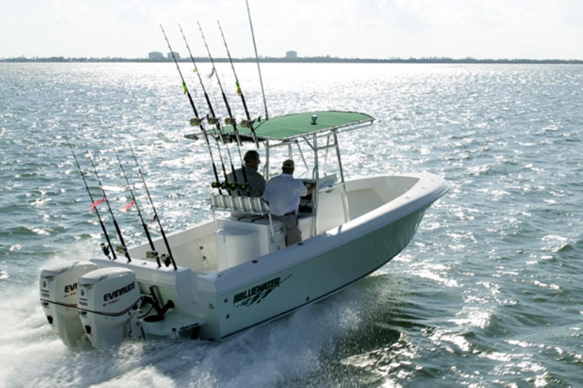 What’s a Tampa Bay Sportfishing Charter?