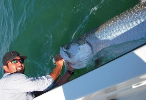 Fishing Guide in Tampa Bay