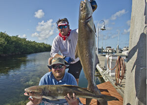 Fishing Guide in Tampa Bay