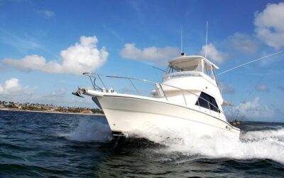 Benefits of Booking a Private Fishing Charter in Tampa Bay