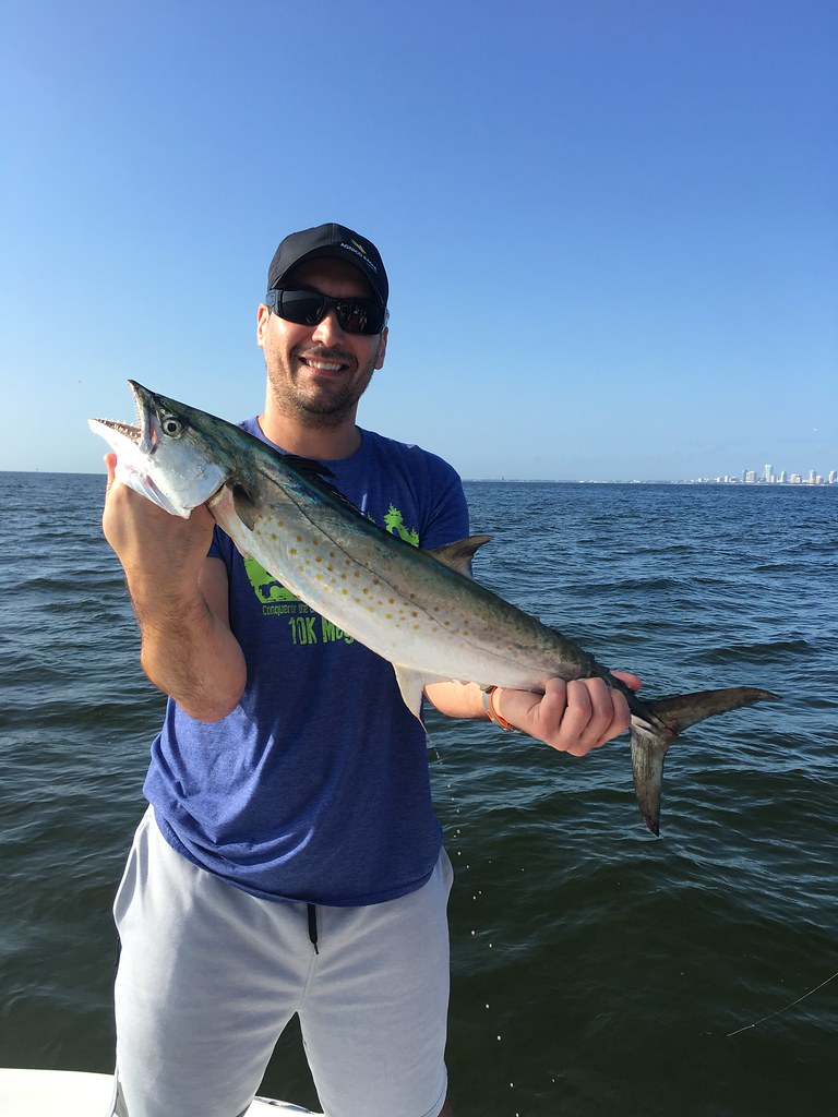 Inshore Fishing Charter in Tampa Bay