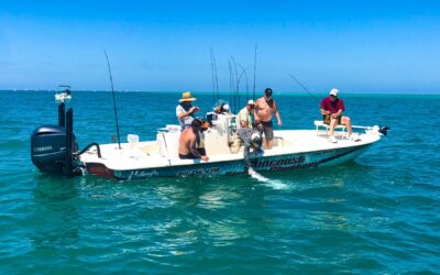 Why Book an Inshore Fishing Charter in Tampa Bay?