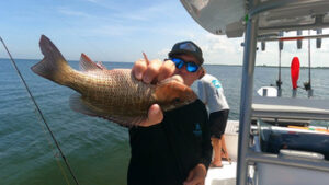 Offshore Fishing Charter in Tampa Bay