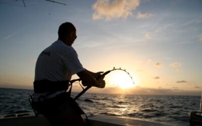 Why Book an Offshore Fishing Charter in Tampa Bay?