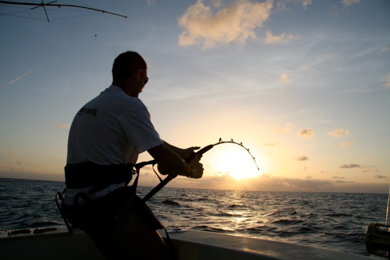 Why Book an Offshore Fishing Charter in Tampa Bay?