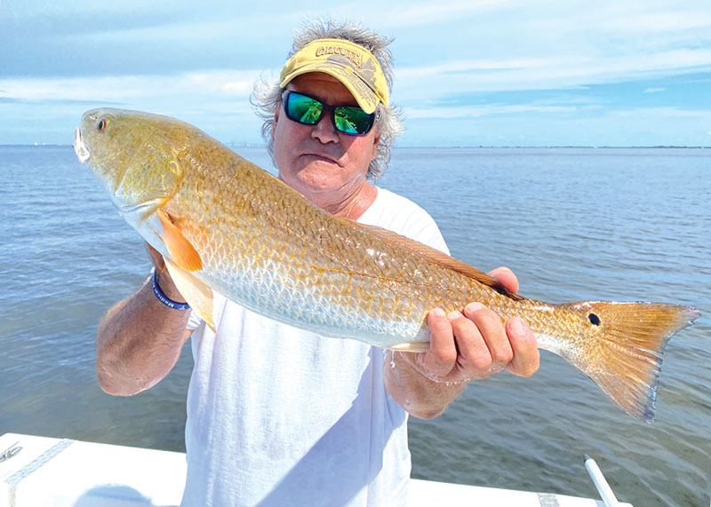 Looking to Catch Fish in Tampa Bay?