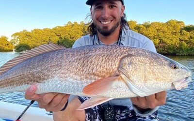 The Best Fish to Catch in Tampa Bay