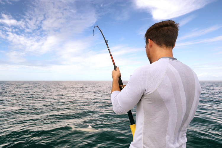 Why Book a Tampa Bay Fishing Charter Boat