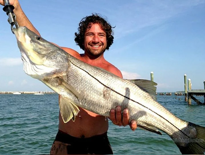 Tampa Bay Snook Fishing