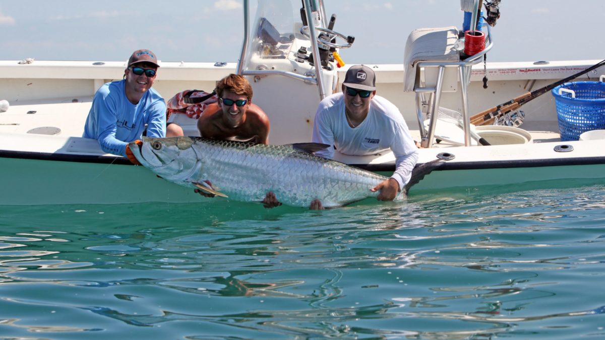 Tampa Bay Florida Fishing Seasons