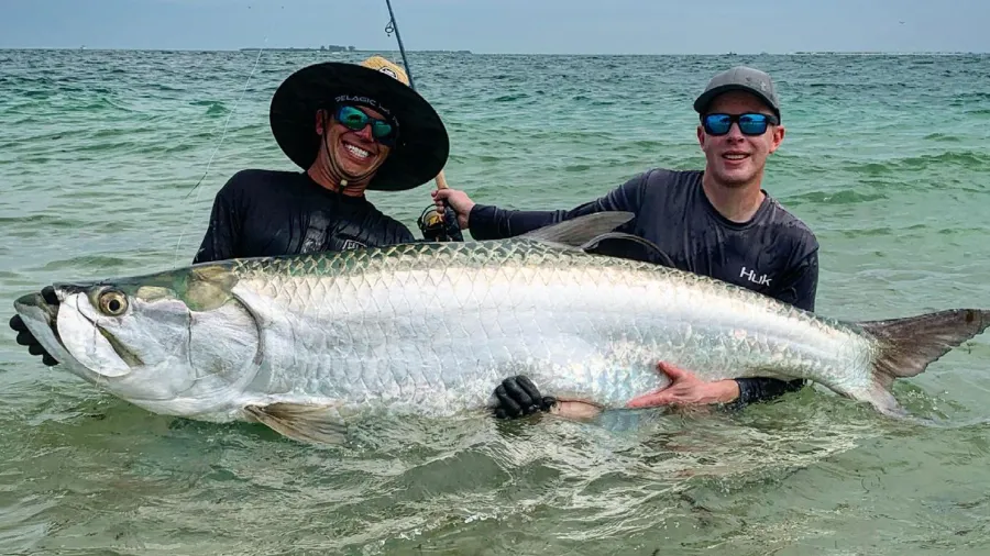 Why Choose Tampa Bay for Your Next Tarpon Fishing Charter